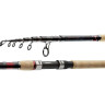 Спиннинг DAIWA NJ X tele 2.70м 10-30гр 11636-270